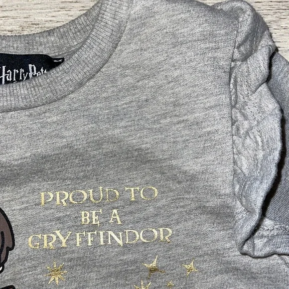EUC Wizarding World of Harry Potter Grey Sweatshirt - Picture 3 of 6
